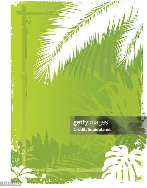 tropic palm background - philodendron stock illustrations