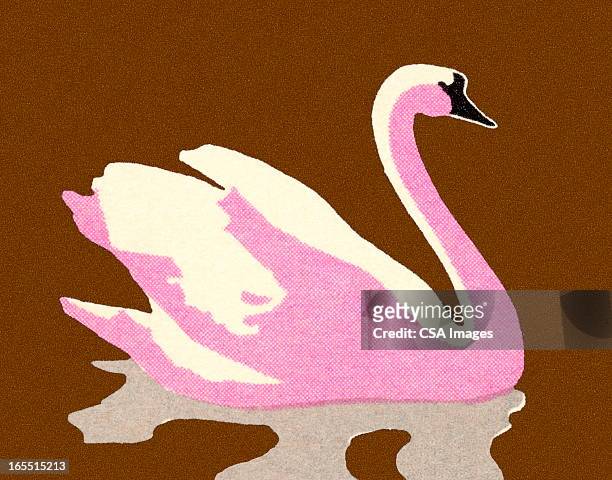 572 Pink Swan Photos and Premium High Res Pictures - Getty Images