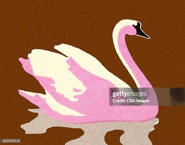 pink swan - swan stock illustrations