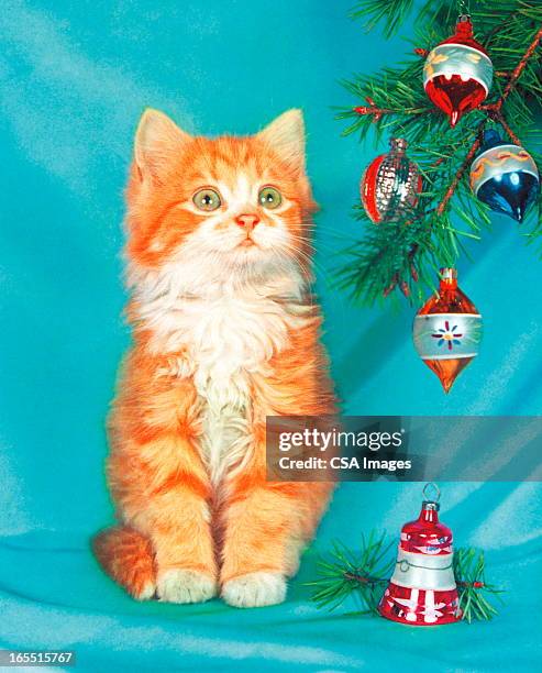 kitten by a christmas tree - tree trimming stock illustrations