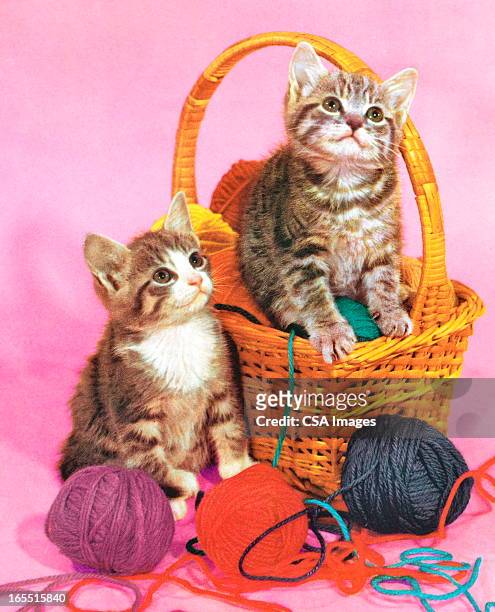 two kittens in a basket of yarn - baby cat stock illustrations