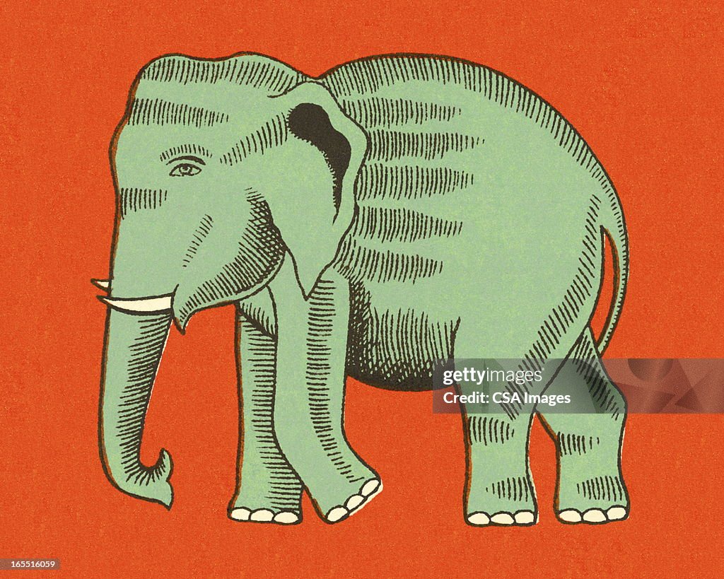 Elephant