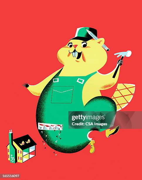 handyman beaver - beaver stock illustrations