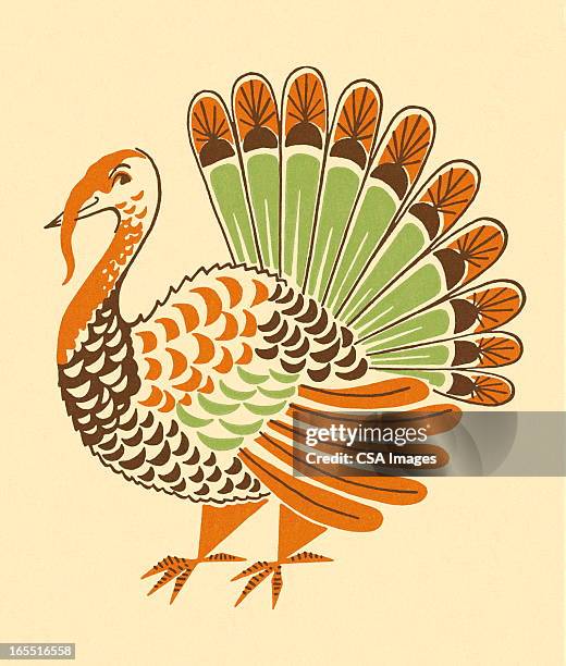 der türkei - old fashioned thanksgiving stock-grafiken, -clipart, -cartoons und -symbole