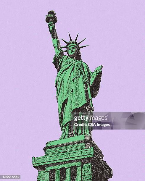 stockillustraties, clipart, cartoons en iconen met statue of liberty - statue of liberty