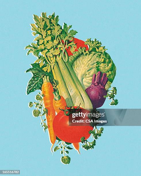 variety of vegetables - lettuce stock illustrations