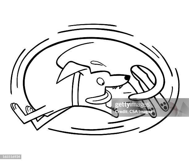 dog chasing its tail - dog chasing tail stock illustrations