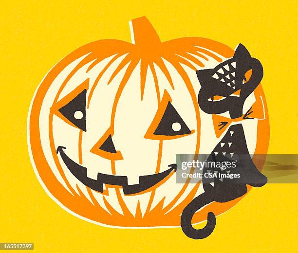pumpkin and black cat - halloween pets stock illustrations