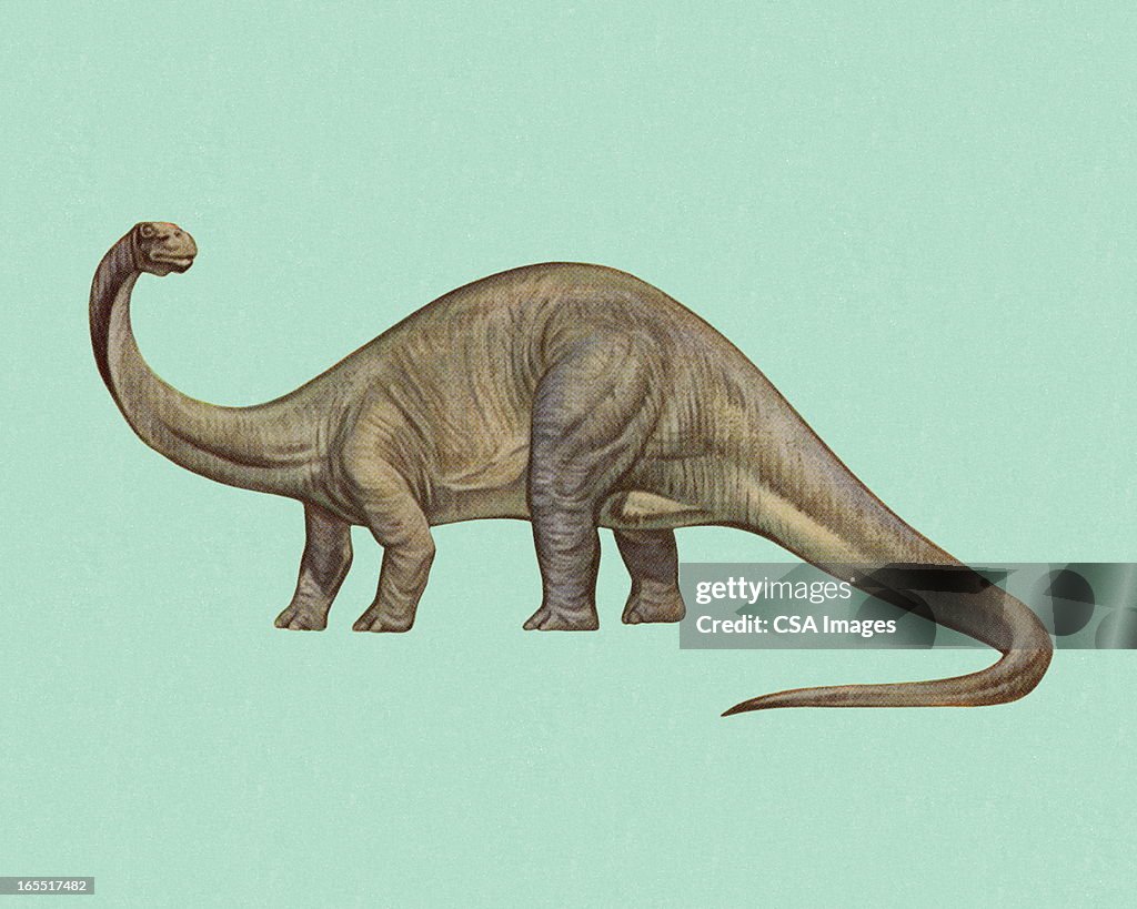 Brontosaurus