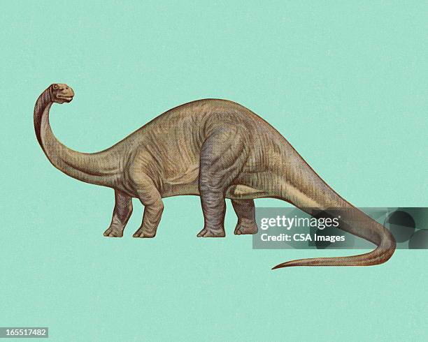 stockillustraties, clipart, cartoons en iconen met brontosaurus - sauropoda