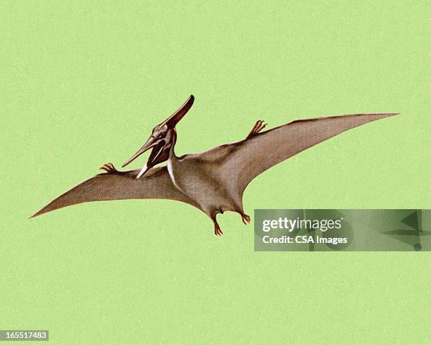 pterodactyl - pterosaur stock illustrations