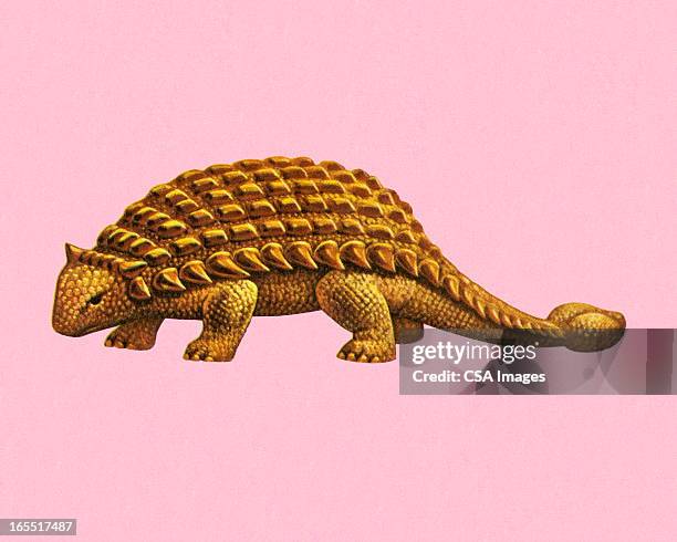 dinosaur - armadillo stock illustrations