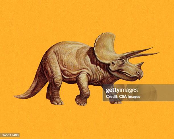 stockillustraties, clipart, cartoons en iconen met triceratops - triceratops