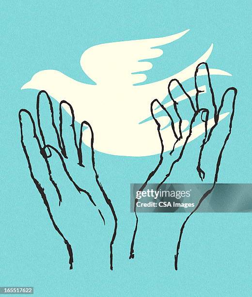 hands holding a dove - hands open stock illustrations