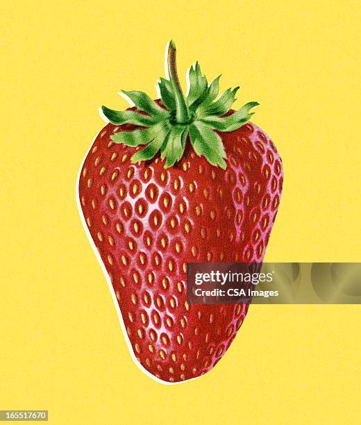 one strawberry - strawberry stock illustrations