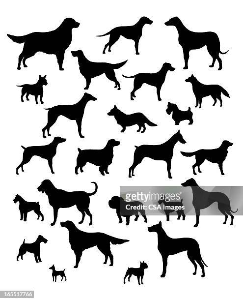 variety of dogs - hound stock illustrations