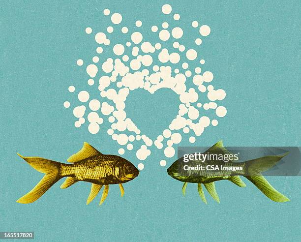 ilustrações de stock, clip art, desenhos animados e ícones de dois peixes e pensamento em desenho animado coração - fish love