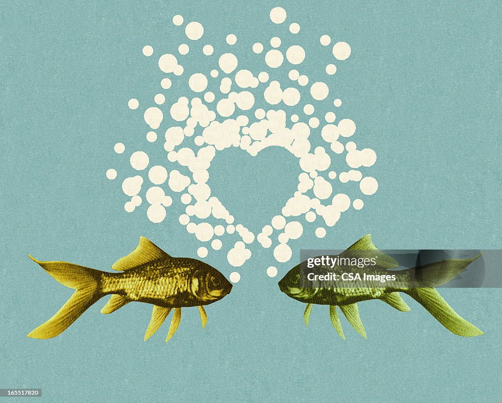 Two Fish And Bubble Heart High-Res Vector Graphic - Getty Images
