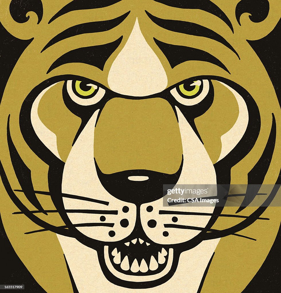 Closeup of a Tiger