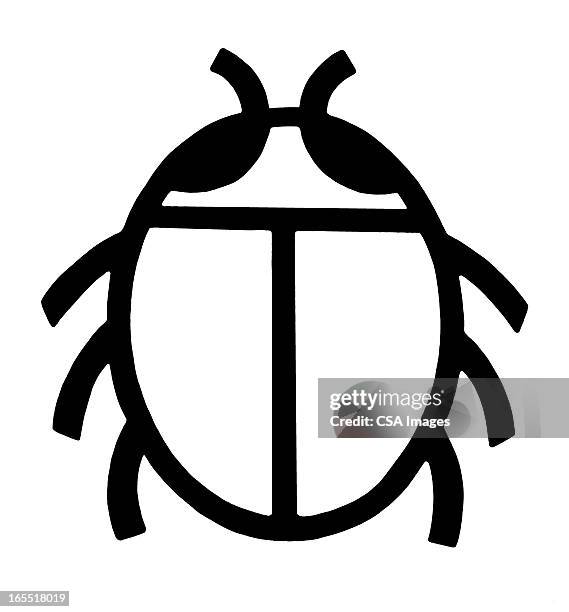 bug - beetle stock illustrations