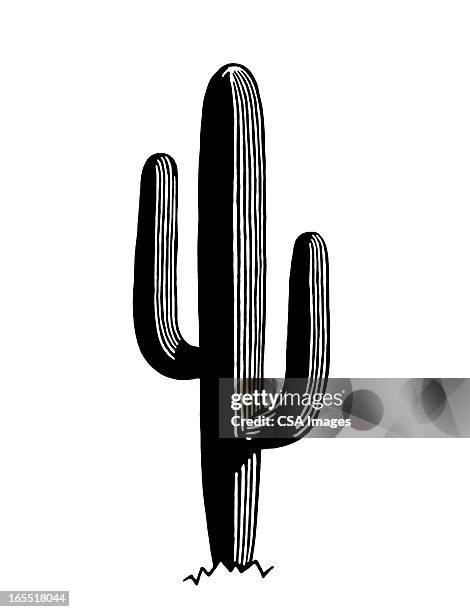 saguaro-kandelaberkaktus - kaktus stock-grafiken, -clipart, -cartoons und -symbole