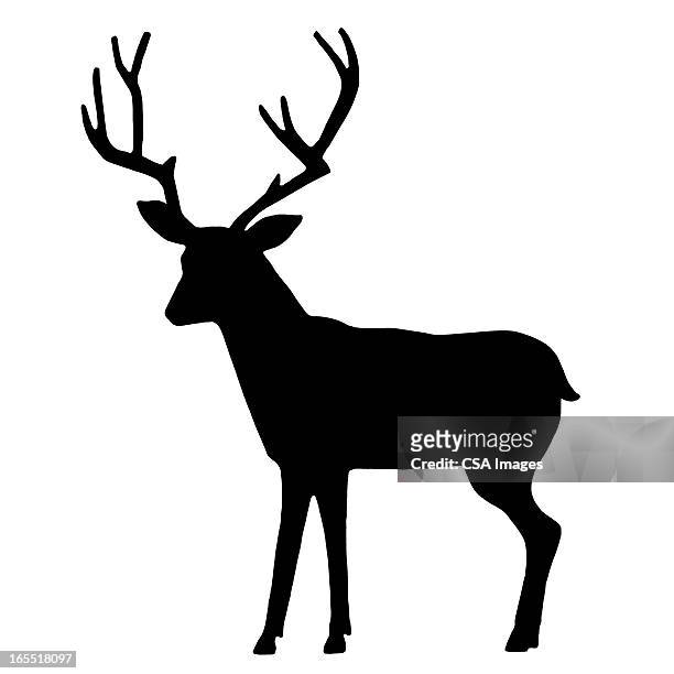 silhouette of a deer - deer antler silhouette stock illustrations