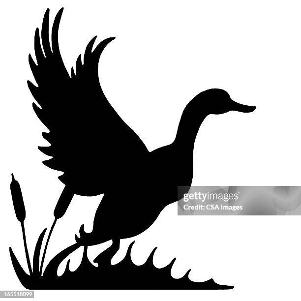 silhouette of a duck - water bird stock illustrations