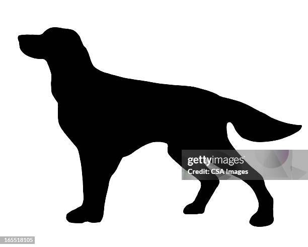 silhouette of a dog - pure bred dog stock illustrations