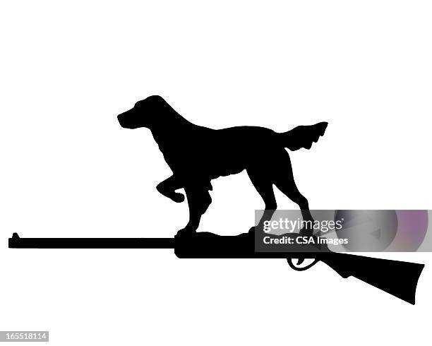 hunting dog and shotgun - pointer stock-grafiken, -clipart, -cartoons und -symbole