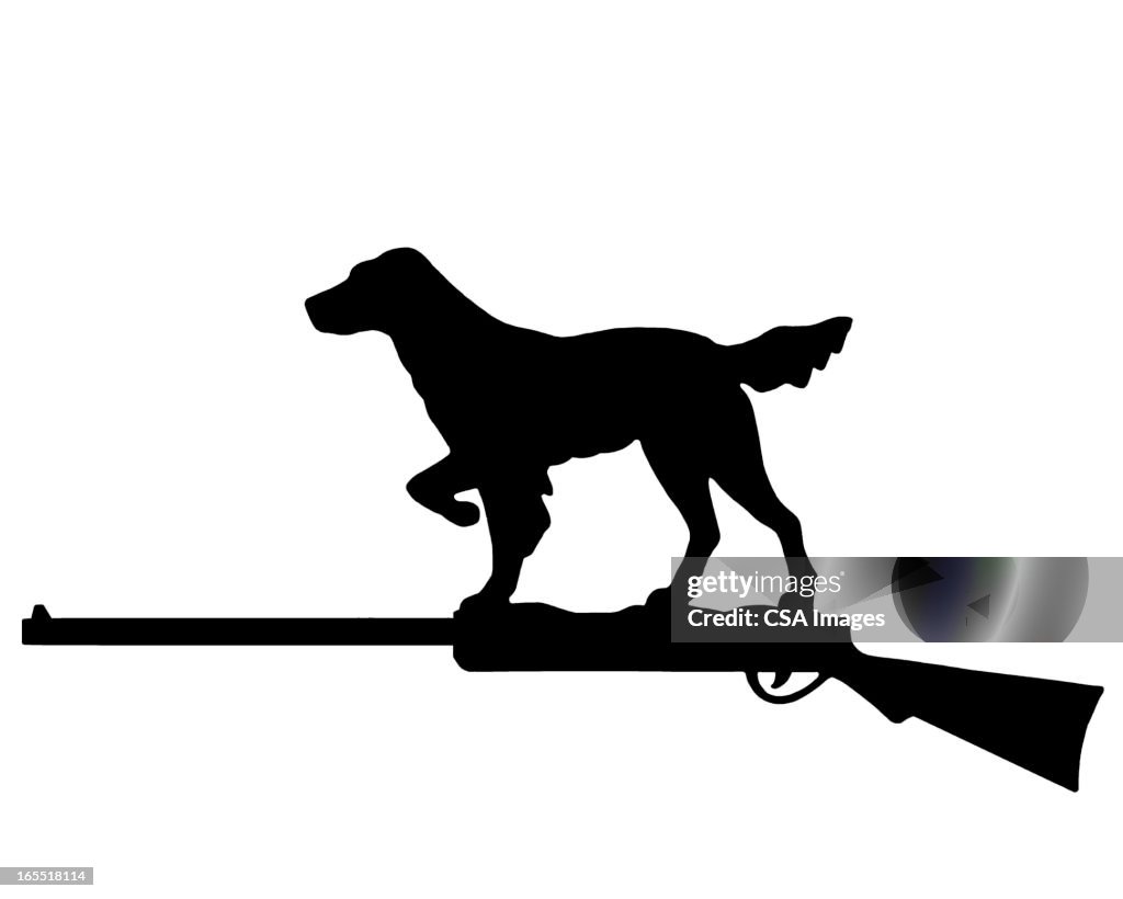 Hunting Dog and Shotgun
