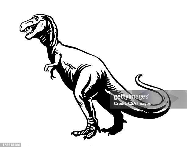 dinosaur - tyrannosaurus rex stock illustrations