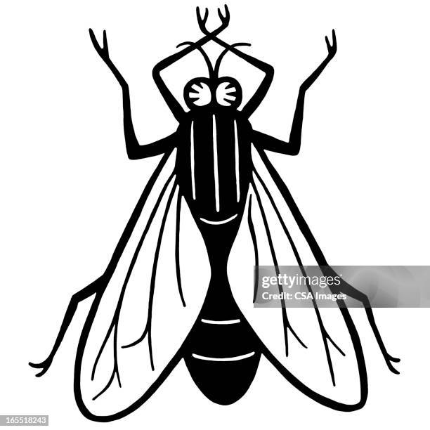ilustraciones, imágenes clip art, dibujos animados e iconos de stock de housefly - luciernagas