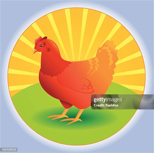 rise and shine chicken - orange chicken stock illustrations