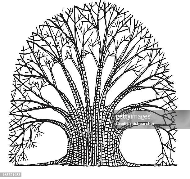 tree - banyan tree stock-grafiken, -clipart, -cartoons und -symbole