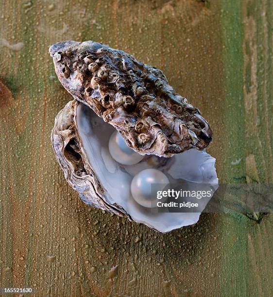 pearls in oyster shell - pearl stock pictures, royalty-free photos & images