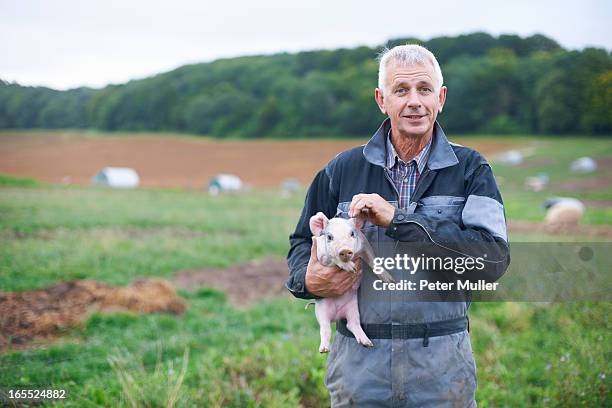 farmer holding piglet in field - cerdo fotografías e imágenes de stock