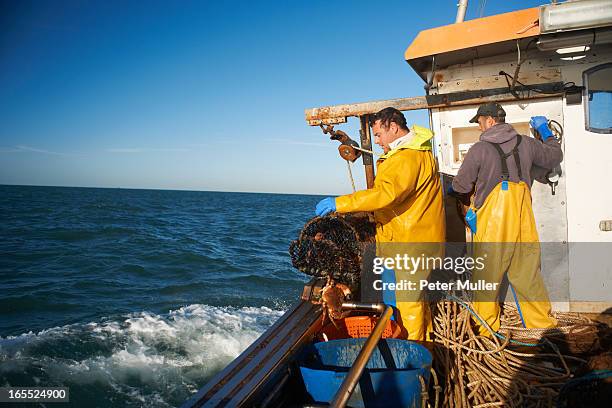 fishermen at work on boat - pescatore foto e immagini stock