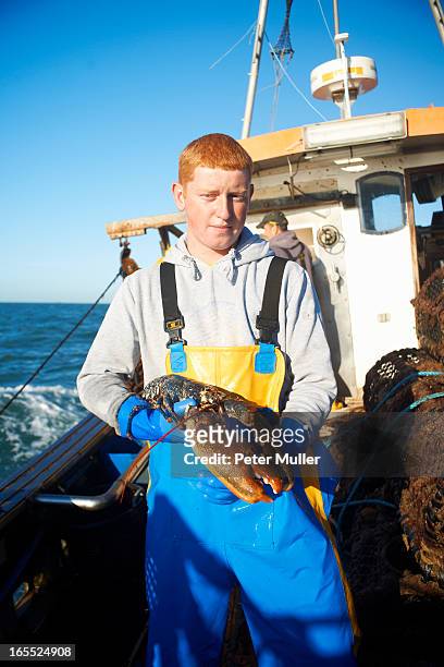 fisherman holding lobster on boat - fisherman stock pictures, royalty-free photos & images