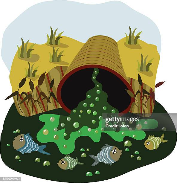 water pollution - reed grass family stock illustrations