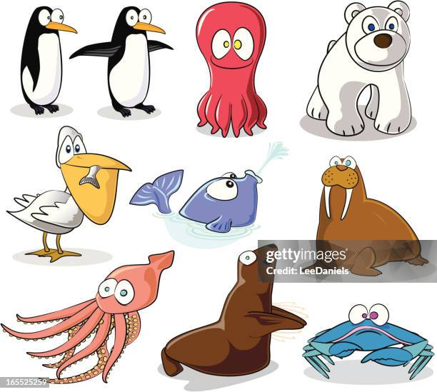 kalten klimas cartoon tiere - eisbär illustrationen stock-grafiken, -clipart, -cartoons und -symbole