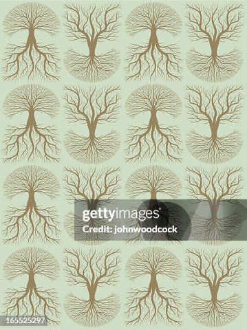 Tree and roots background Tree and roots background