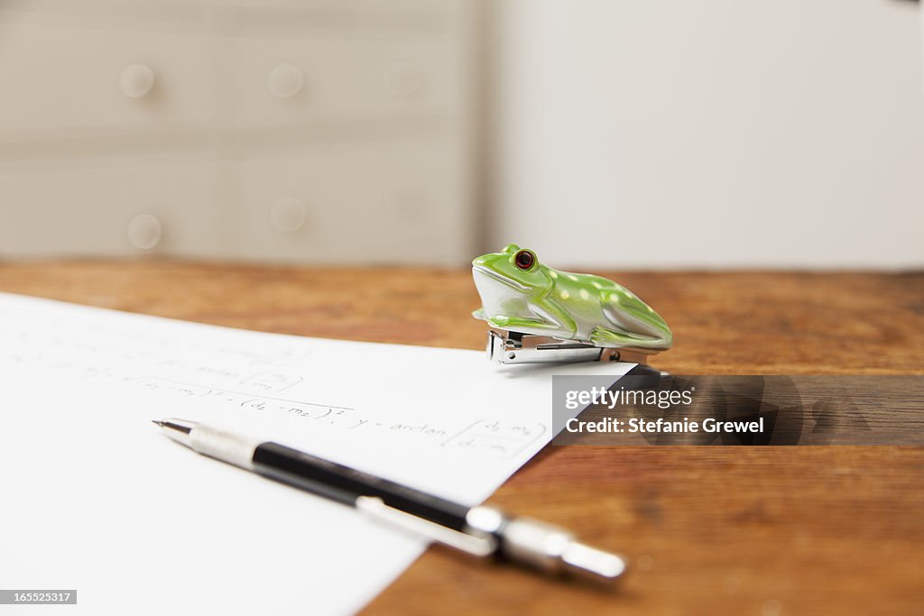 Frog shaped stapler and pen on paper