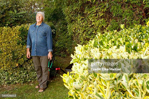 older man working in garden - bush live stock-fotos und bilder