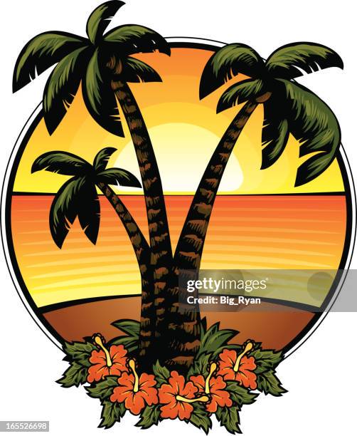 tropical paradise - aloha stock illustrations