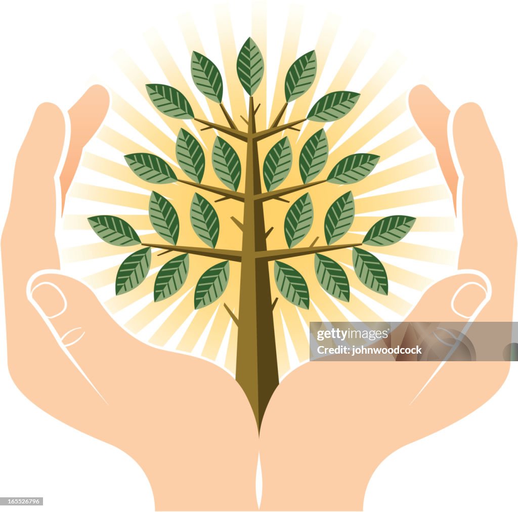 Hands With Tree High-Res Vector Graphic - Getty Images