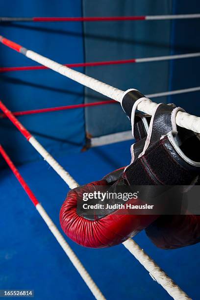 boxing gloves hanging on ropes of ring - boxring stock-fotos und bilder