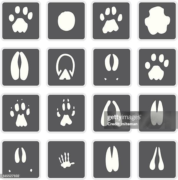 africa | matte collection - meerkat vector stock illustrations