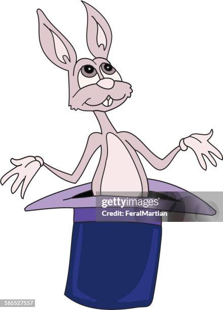 rabbit in a hat - rabbit hat stock illustrations