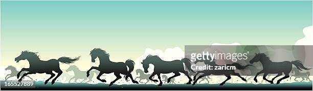 wild horses - animals in the wild stock illustrations