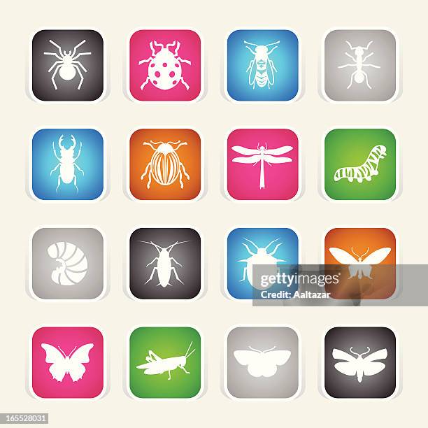 multicolor icons - insects - tarantula stock illustrations